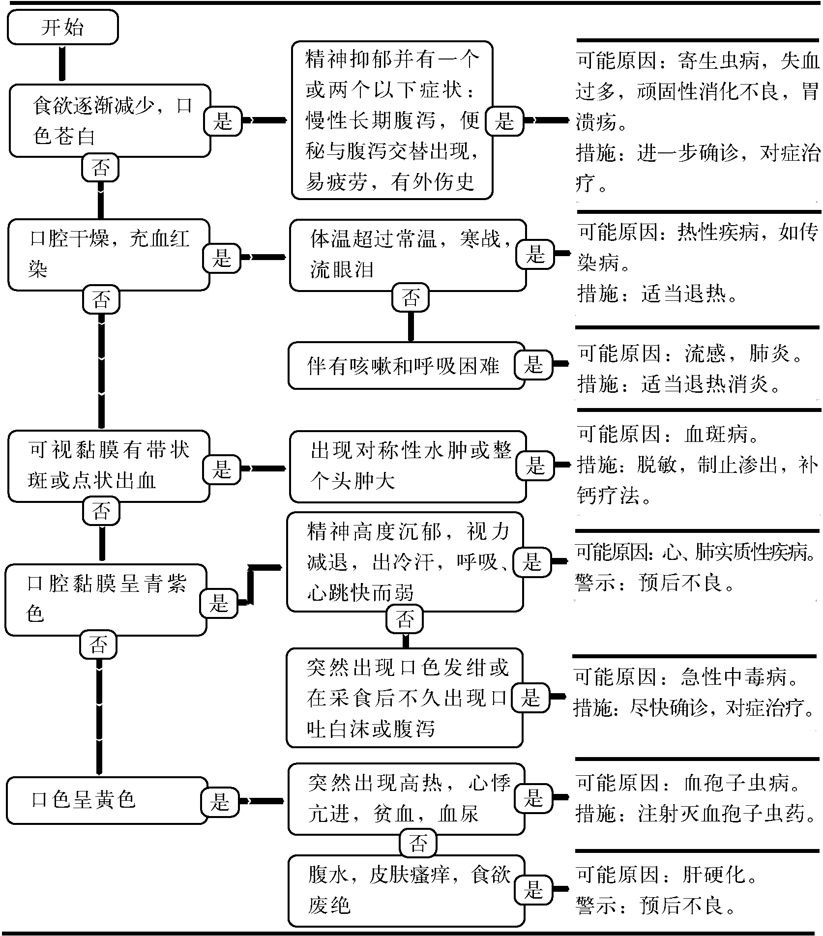 15.口色